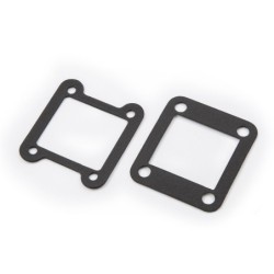 GG TRIAL REED VALVE GASKET