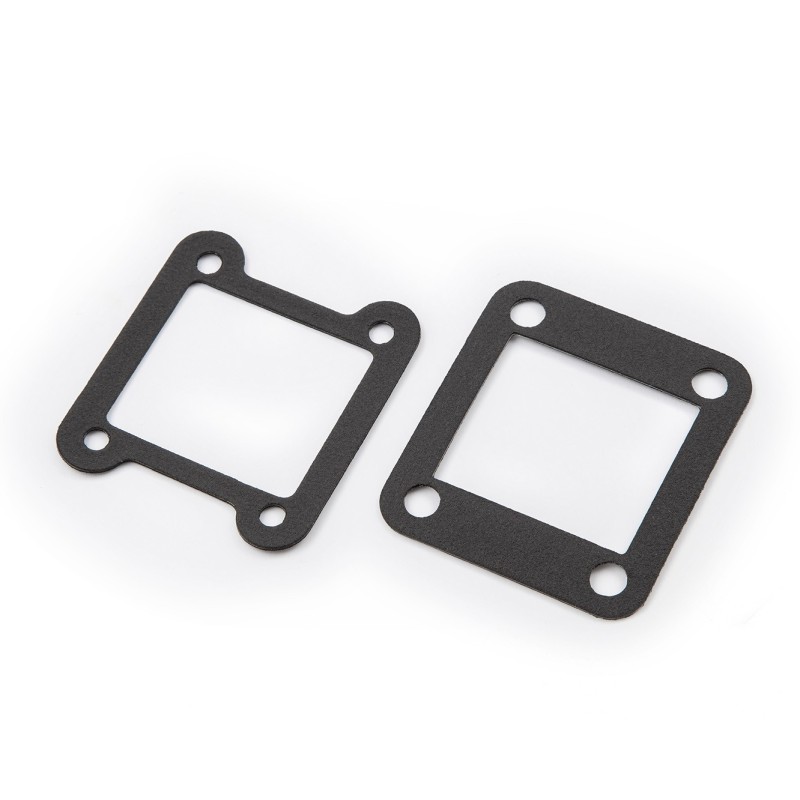 GG TRIAL REED VALVE GASKET