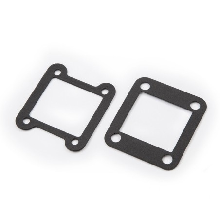 GG TRIAL REED VALVE GASKET