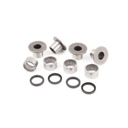 SWINGARM BEARING BETA EVO