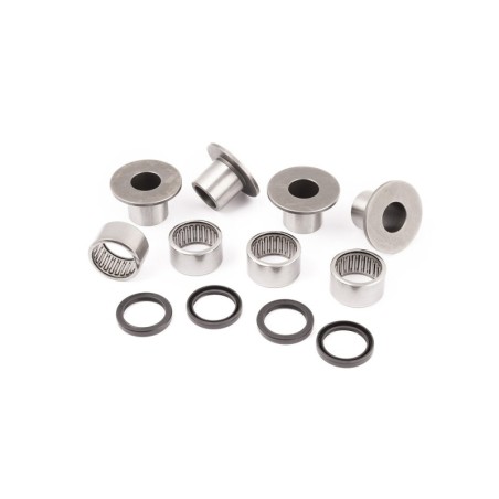SWINGARM BEARING BETA EVO