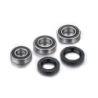REAR WHEEL GASGAS LEGACY - RIEJU