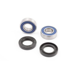 WHEEL BEARING FRONT BETA EVO