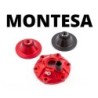 CYLINDER HEAD MONTESA 315 250/300