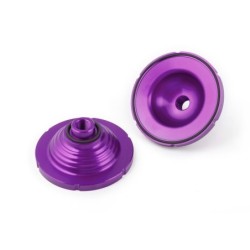 INSERT 300 AAA PURPLE