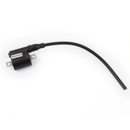 HIDRIA ORIGINAL COIL