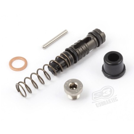 PISTON REP BOMBA FRENO TRAS EC/TC/TE