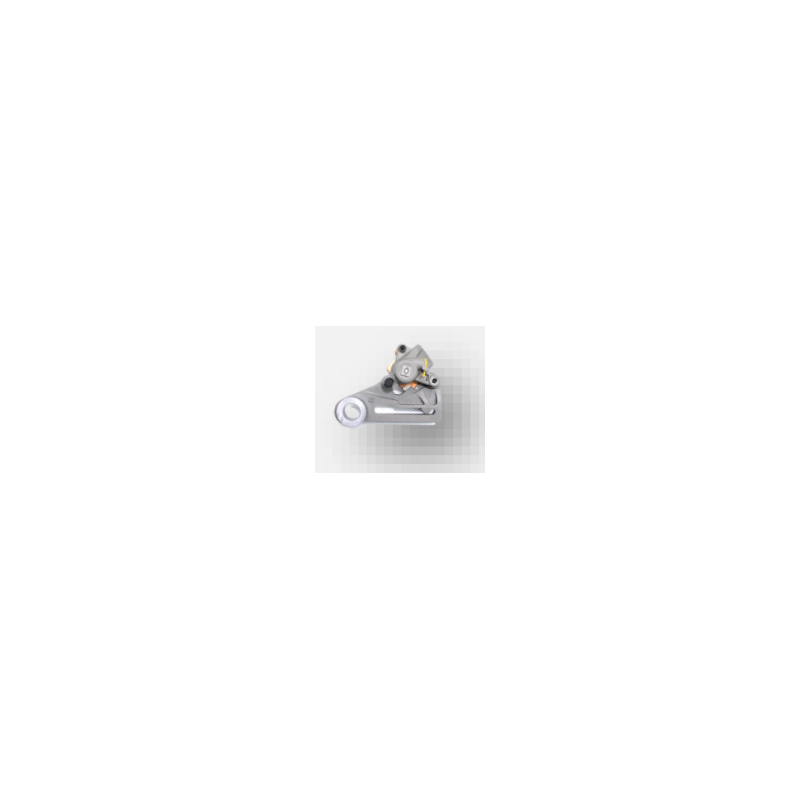 CALIPER PINZA FRENO TRAS EC/TC/TE DOT4