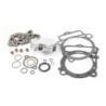 PISTON COMPLETE+GASKETS+CHAIN 250CC D.81