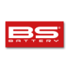 SMALL STICKER BS BATTERY-RED 100X35MM