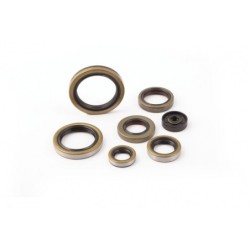 OIL SEAL ENGINE KTM EXC TPI 250-300